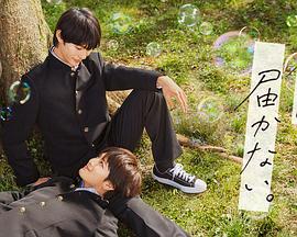 人人干人人透人人弄海报剧照