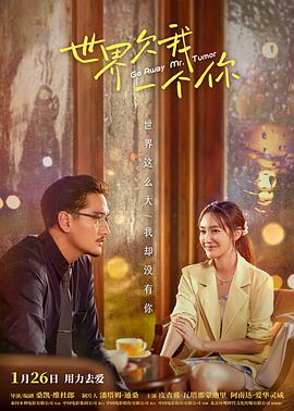 民间小调网刘晓燕海报剧照